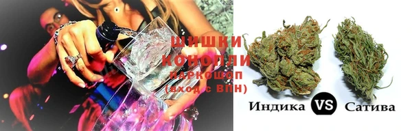 спайс Нея