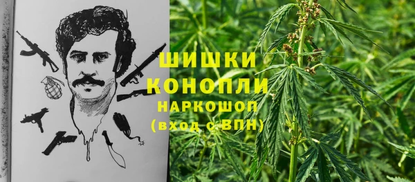 спайс Нея