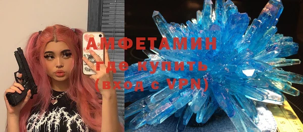 гидра Билибино