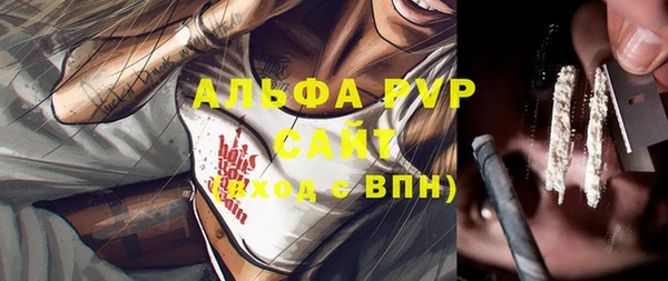 спайс Нея
