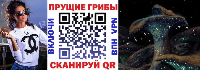 Галлюциногенные грибы Psilocybine cubensis  купить  сайты  Усть-Лабинск 