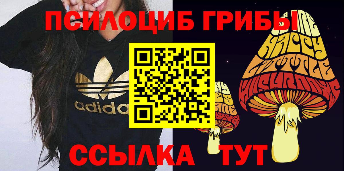 Псилоцибиновые грибы мухоморы  Галлюциногенные грибы Cubensis  Вход с VPN  Усть-Лабинск 